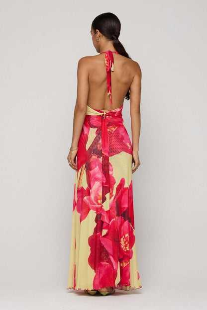Ayla Maxi
